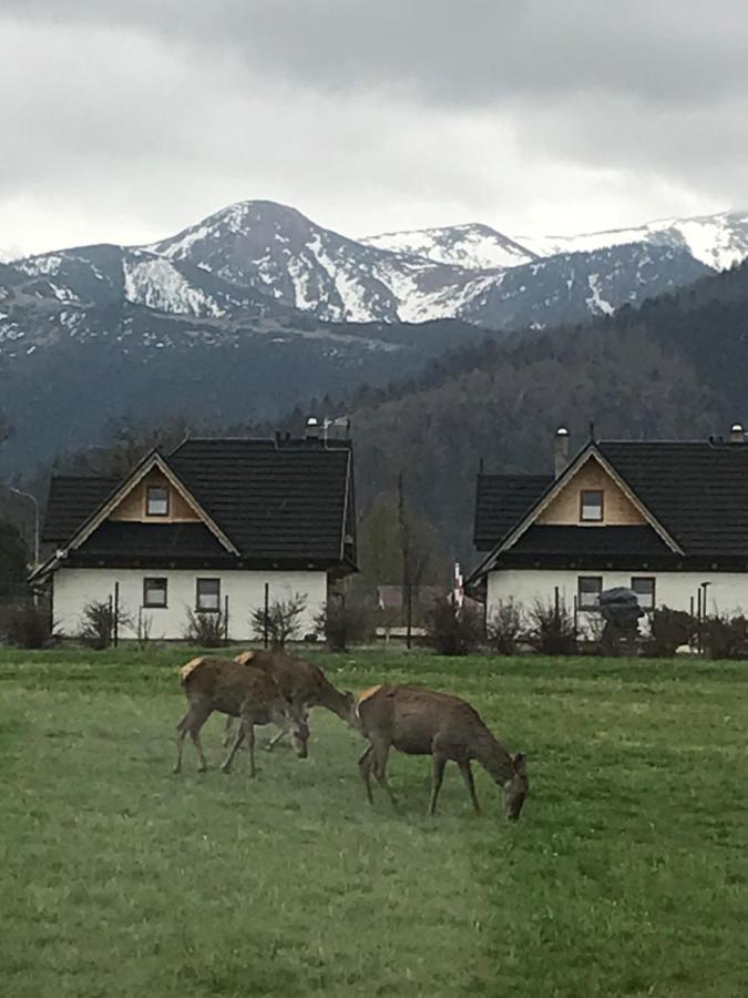 Villa Jumper Widok Na Cale Tatry Lazienka Nie Jest W Pokoju Закопане Екстериор снимка